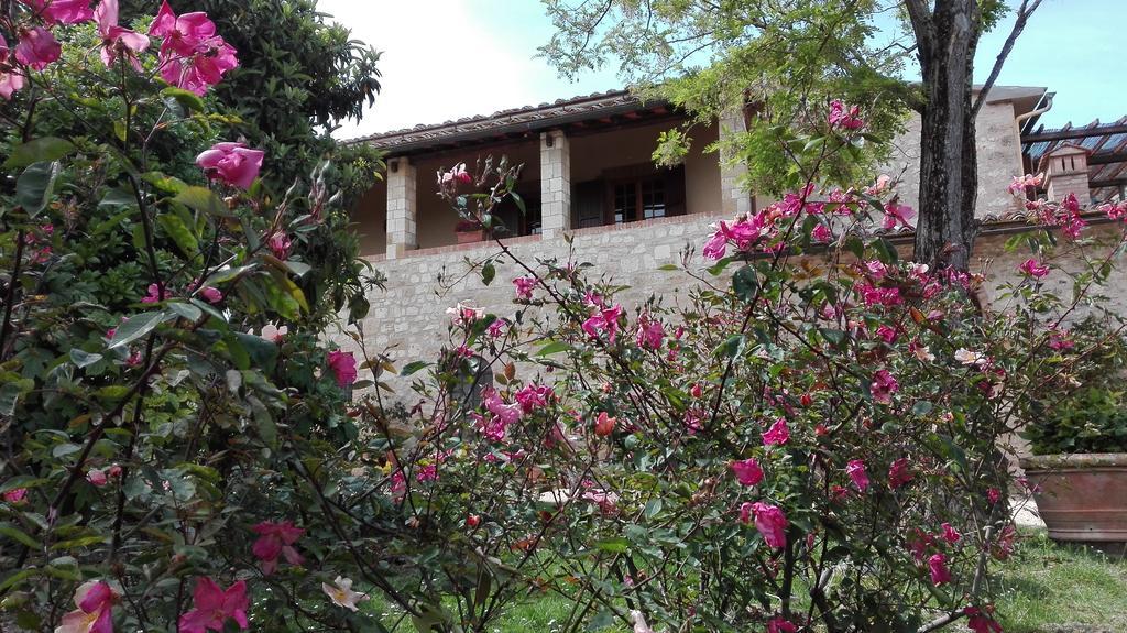 Agriturismo La Pieve Colle di Val d'Elsa Exterior photo