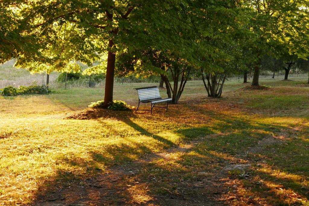Agriturismo La Pieve Colle di Val d'Elsa Exterior photo